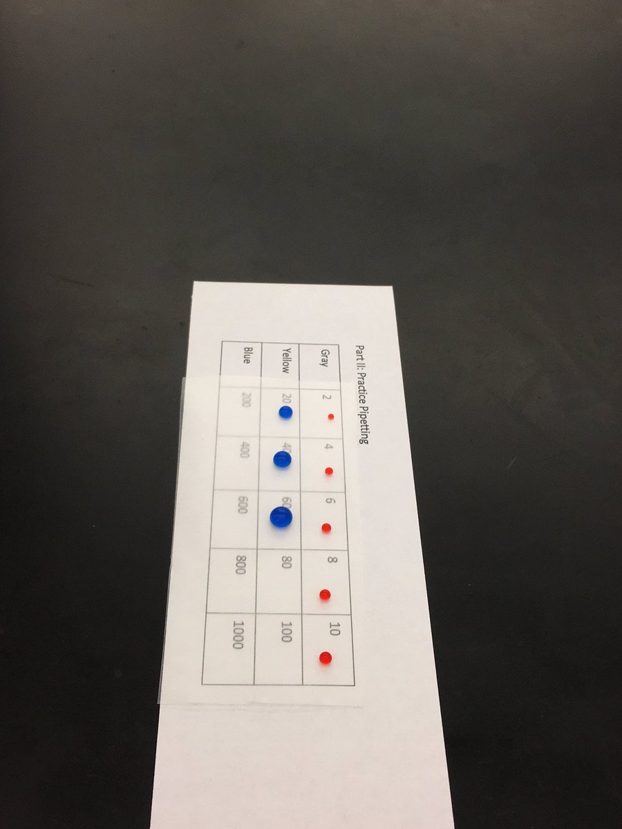 MrsGeorgeOJR's tweet photo. Learning to use micropipettes in genetics class today! #ojrscience https://t.co/wdLmPU8lth