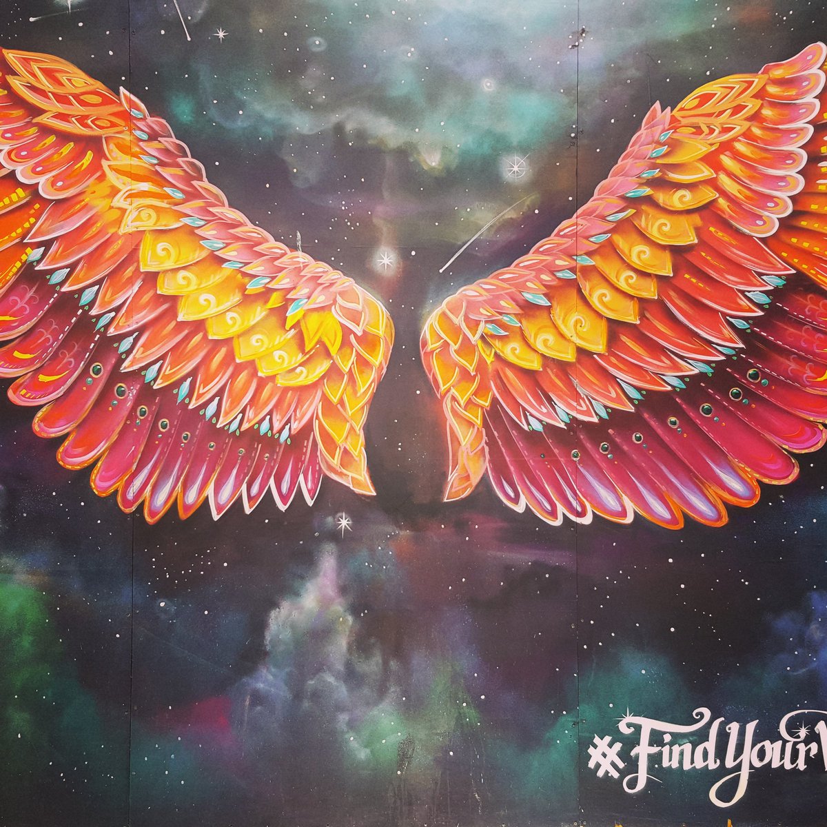 lou__evs's tweet photo. First day of MA @UniSouthWales #foundmywings https://t.co/bGWRI2iV6V