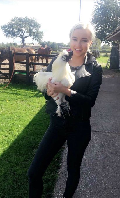 Jeffery &amp; Wolfy 🐓 🐕 https://t.co/UPFLPGIPCS<a href="/tag/thechallengevendettas"class="tags"><span>#thechallengevendettas</span></a>