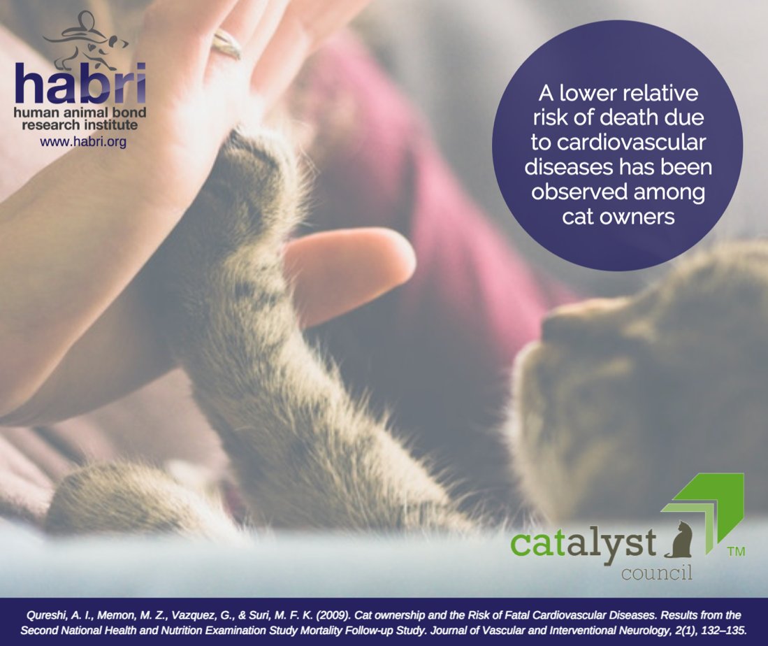 CatalystCouncil's tweet photo. Happy cats make for happier, healthier people, too! A 2009 study shows that cats are good for your heart in more ways than one: https://t.co/J7xbPXiwqC #HappyCatMonth @HABRITweets https://t.co/bZljbWw25C