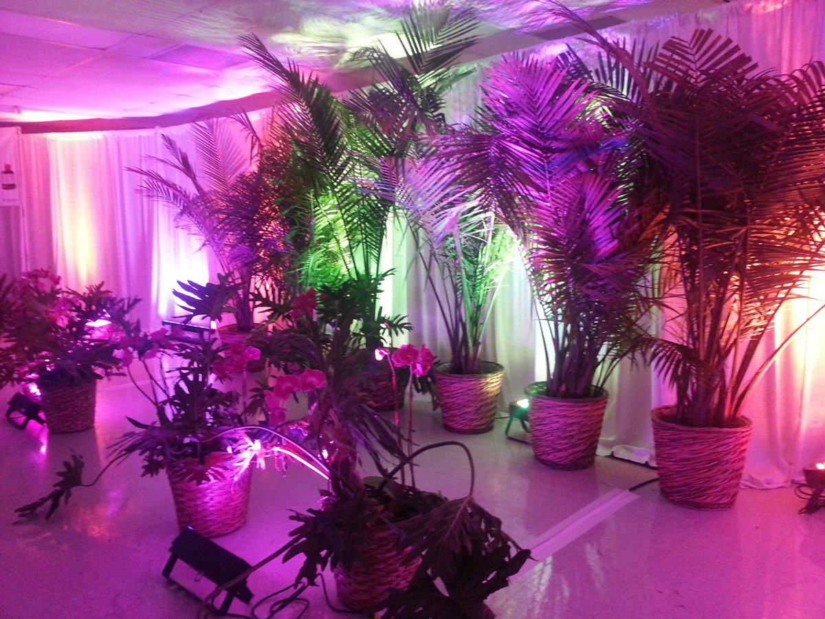 AlobarsEvents's tweet image. Its almost #fall! We have all sorts of different ideas that we can put together to suit the autumn blues. We us @ApolloDesign gobos to put that ideal image on almost any surface to transform the space.