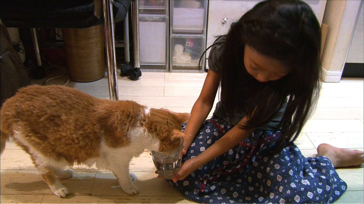 生き物にサンキュー Ikimono 39 Tbs Twitter