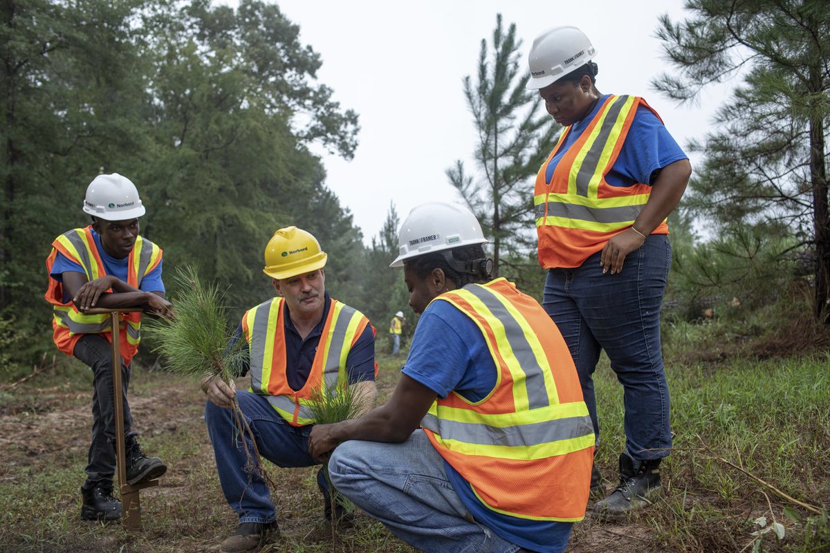 westfraserEWP's tweet photo. Pining for framers? 
The construction labor shortage is driving up prices, but HBI and Norbord Inc. are training framers and encouraging young people to join the trades. See how:
https://t.co/kch23IVXgB
#THANKAFRAMER #framing #builder #construction #Norbord #framer https://t.co/Gxv1fP7G2X
