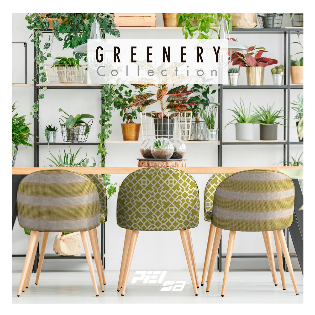 Haz de tu casa un hogar con nuestra nueva colección Greenery. / Make your house a home with our new Greenery collection.