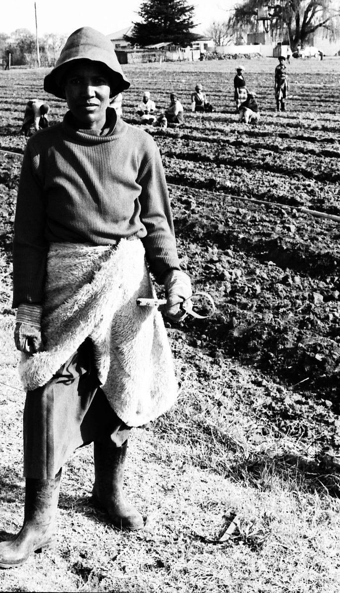 . <a href="/WitsHistory/">History at Wits</a>
. <a href="/SAHistSoc/">Southern African Historical Society</a>
. <a href="/WitsHistoryWshp/">WitsHistoryWorkshop</a>
. <a href="/SWOPInstitute/">SWOP Institute</a>
William Matlala Presents – The Complete Worker
transafricaradio.net/index.php/2018…