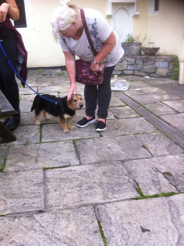 Suzanne Albertelli tweet media