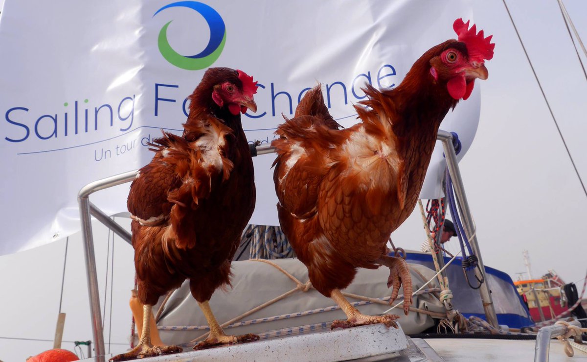 📺⛵ Retrouvez nous sur France Ô les lundi ! ⛵ 📺
Notre intervention du lundi 10 septembre commence à 48 minutes ! 📺
dailymotion.com/video/x6tg6uh