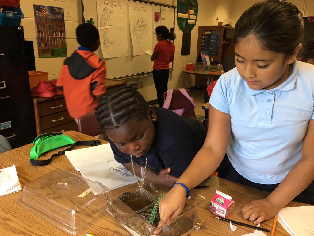 MrsPayne4thPES's tweet photo. Fiddler crab observations #PESBreakoutYear #WeDoScienceWell @WSFCS_Science https://t.co/YEukB1Uqi5