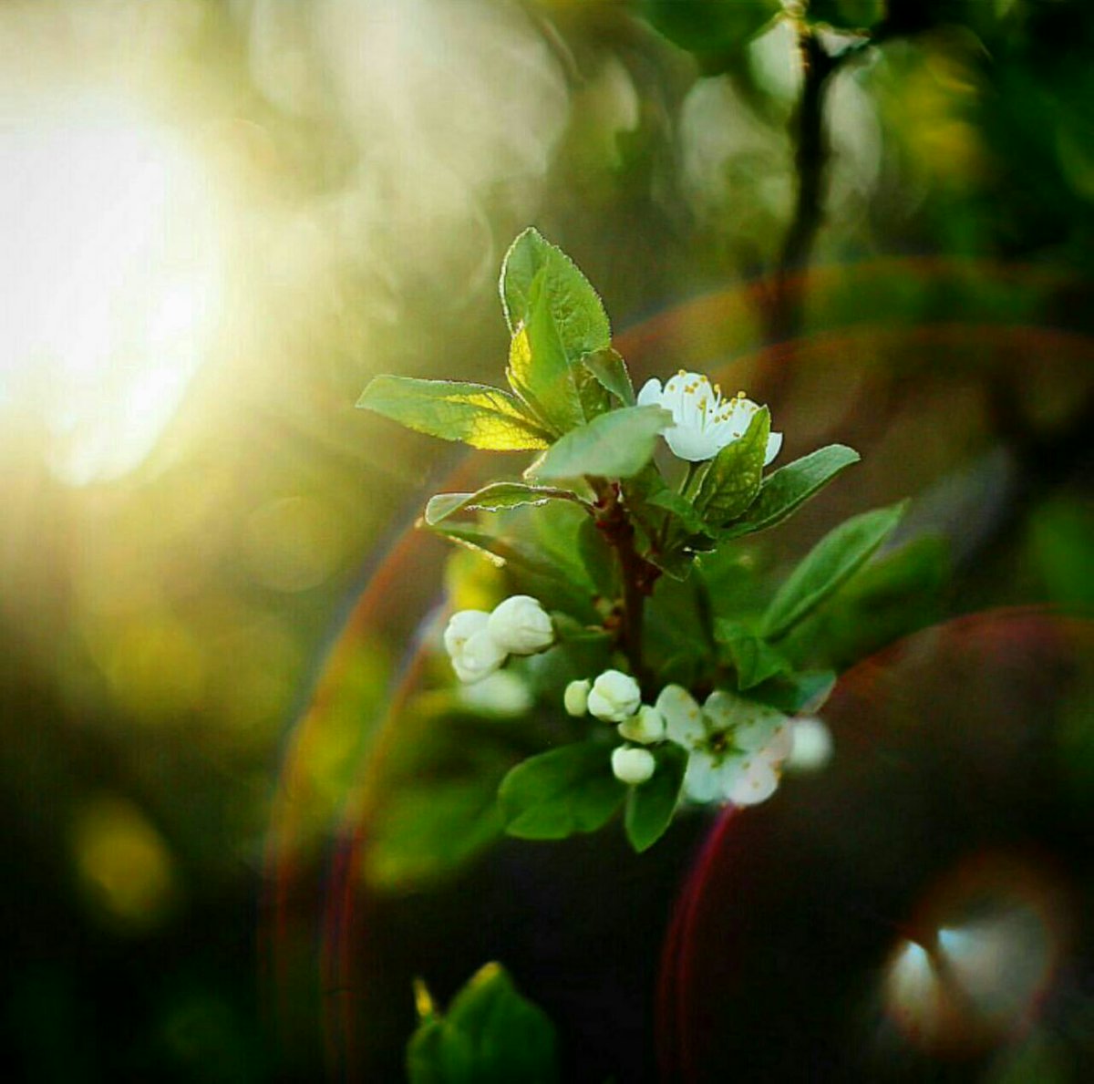 kazimbaqeri's tweet image. Believe in your ability so the universe will shine on you. ~ @kazimbaqeri #Quote #LOA #SuccessTrain #JoyTrain #PositiveTwitterDay  #ThinkBIGSundayWithMarsha