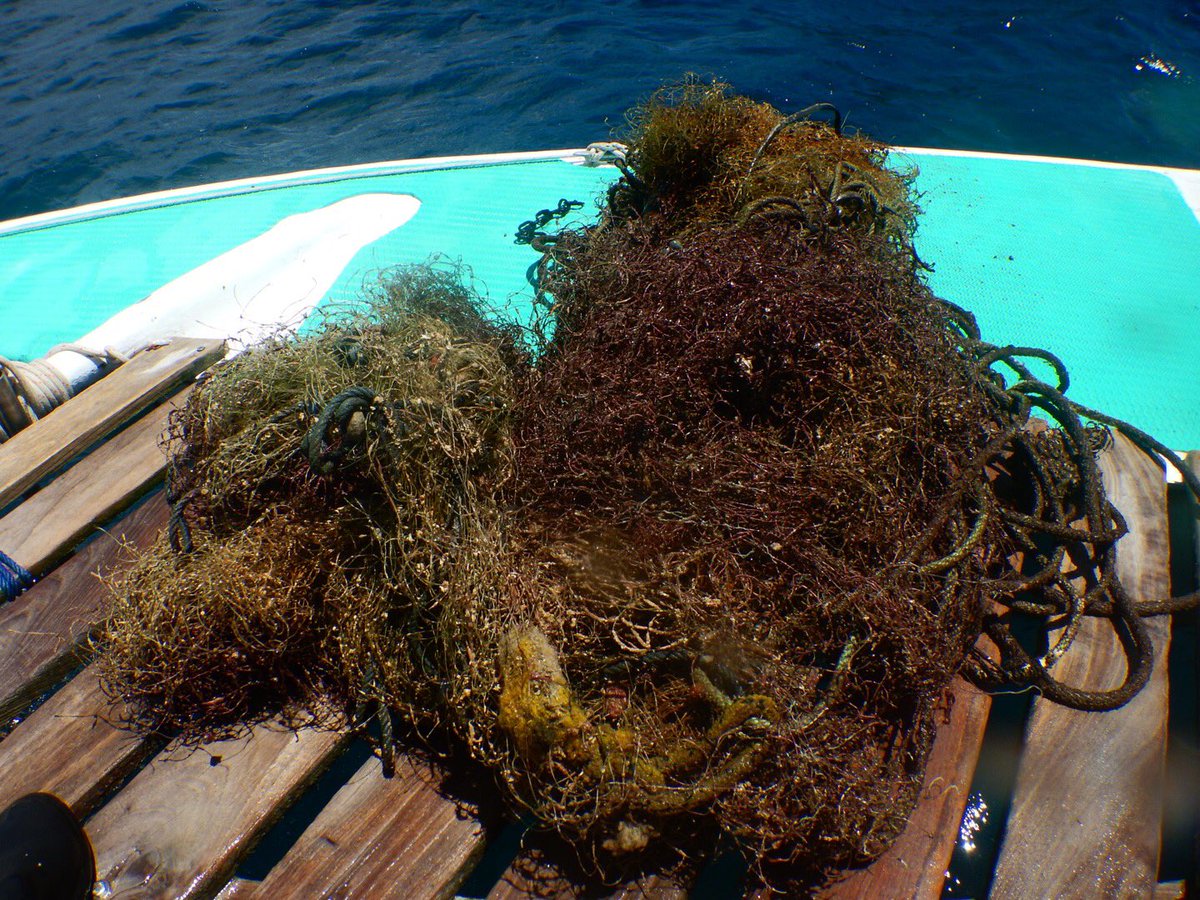 SeaReinas_Call's tweet photo. On #WorldCleanupDay2018 my friends and I went on a #divesitecleanup for #diveagainstdebris hosted by @richcoastdiving. And look at what we pulled out. #oceanwarriors https://t.co/T5cLVumeWz