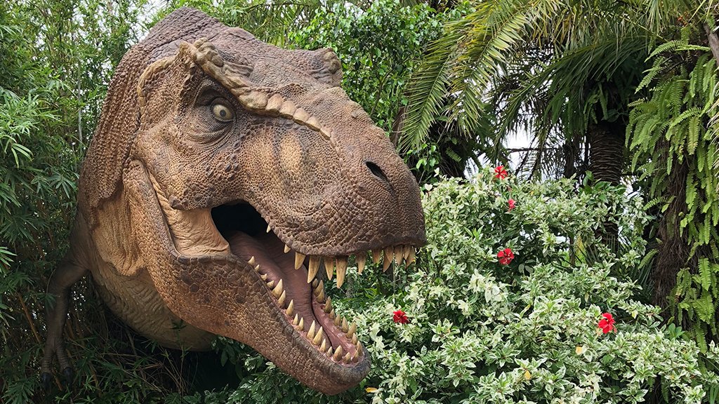 trex orlando trex orlando
