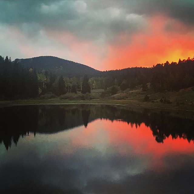 CatamountCenter's tweet photo. Another night at our mountain home. One beaver, NO horse. Come play dogball with us! #catamountcenter #treesemester #sunset #moosepuppy #beaverspotting #nohorse https://t.co/tzUTmn2LWe https://t.co/syxVlUo4qX