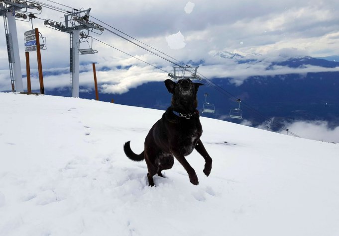 Snow Rehab tweet media