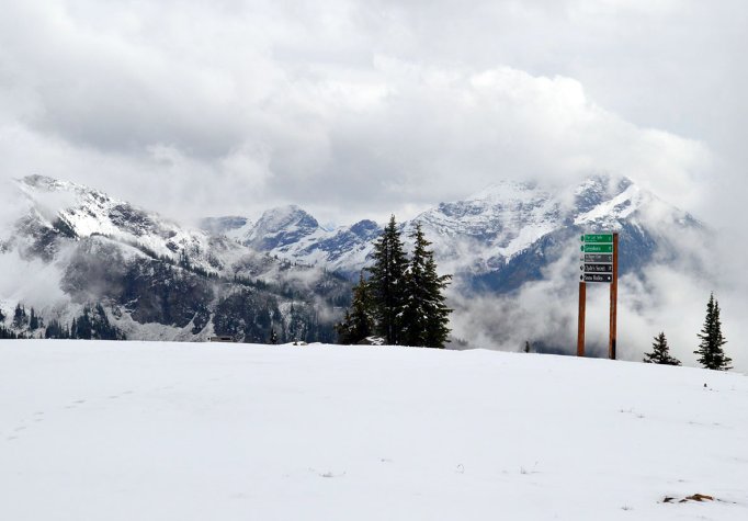 Snow Rehab tweet media