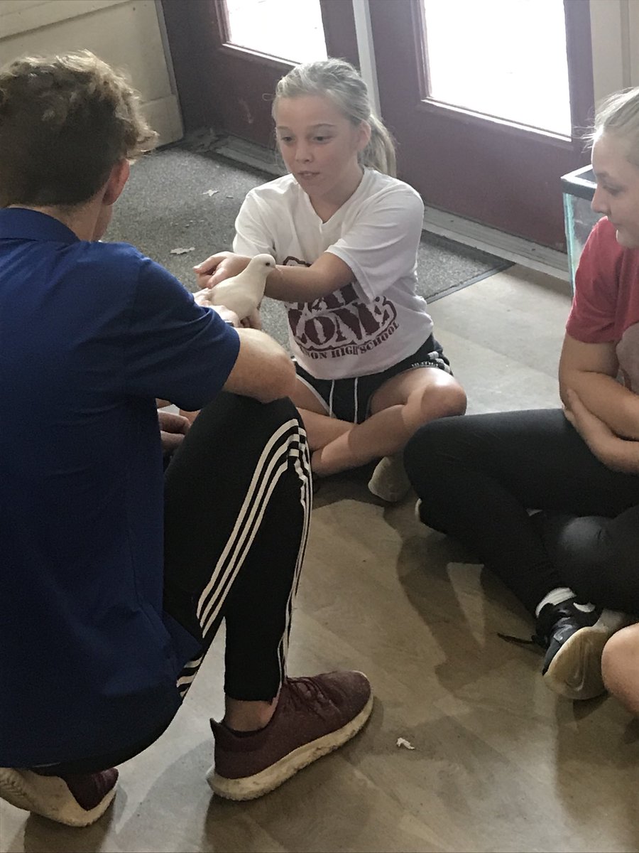 Anita Frambes tweet media