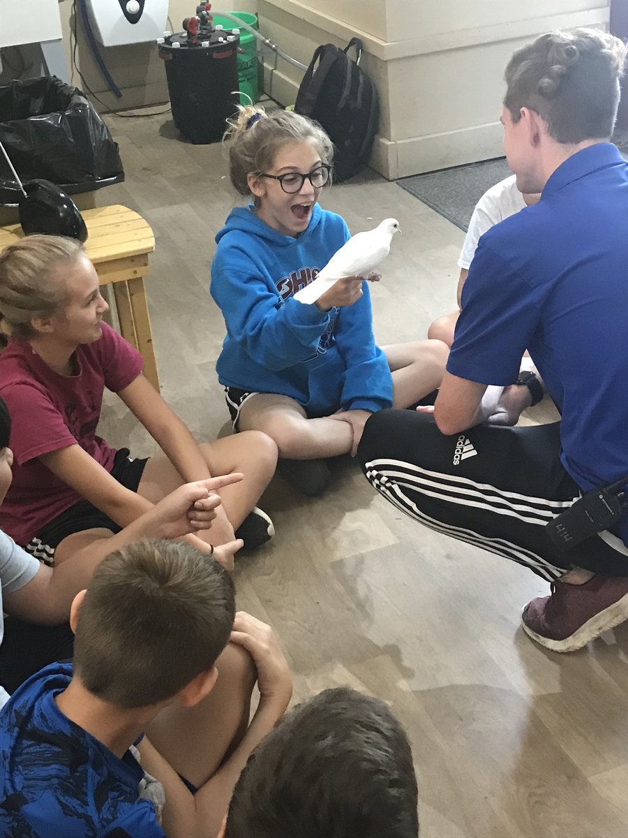 Anita Frambes tweet media