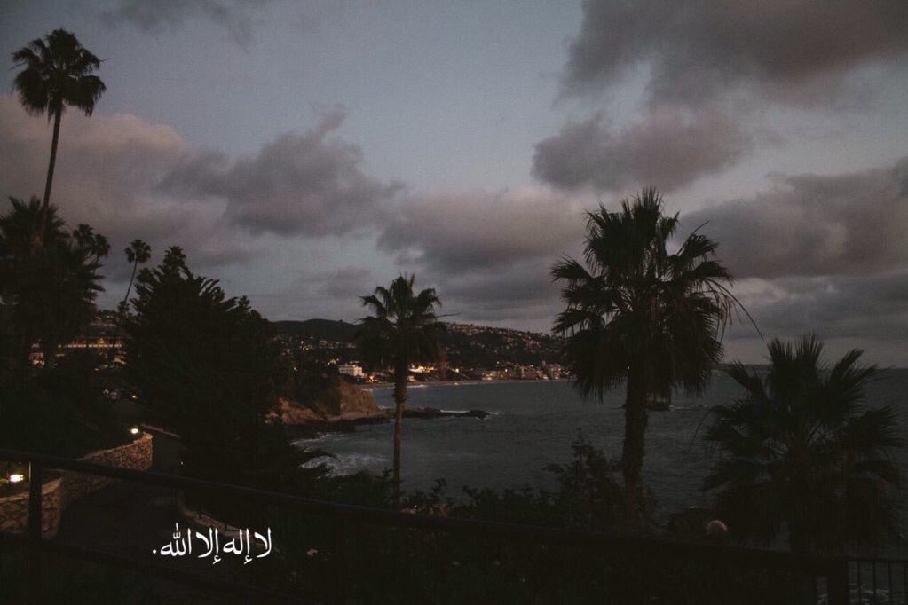 خالد علي المطيري tweet media