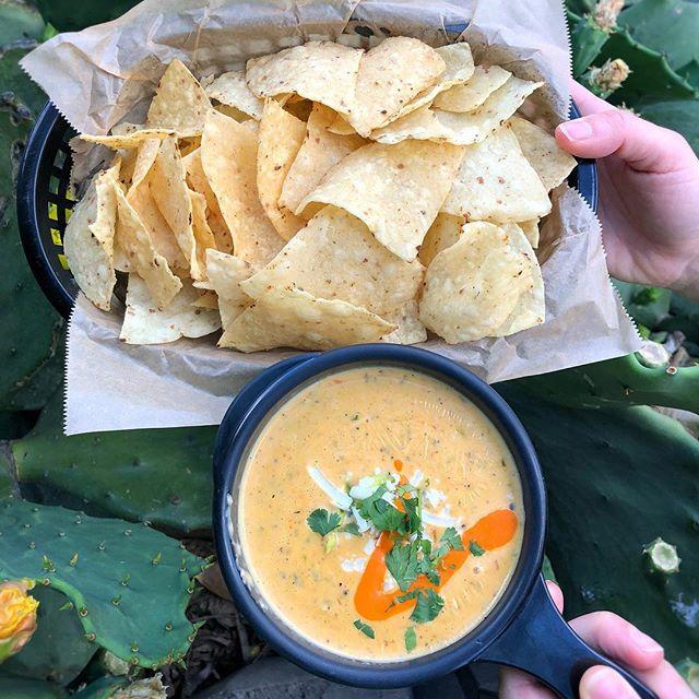 torchystacos's tweet image. I never knew love until I found you.