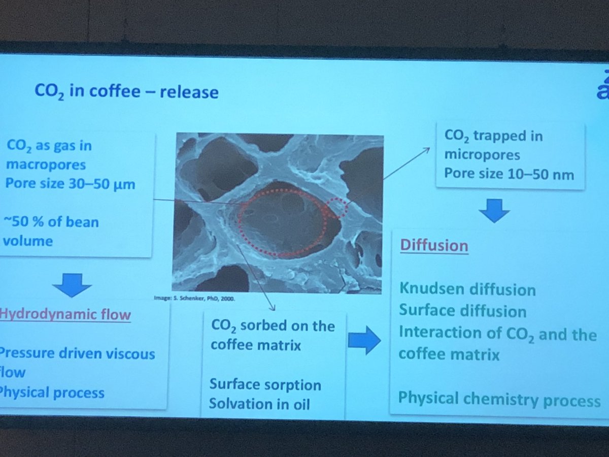 FoodFlavour's tweet image. Nice talk by Samo Smrke on Carbon dioxide loss during coffee degassing @uzh_news_en @ChYeretzian #asicportland