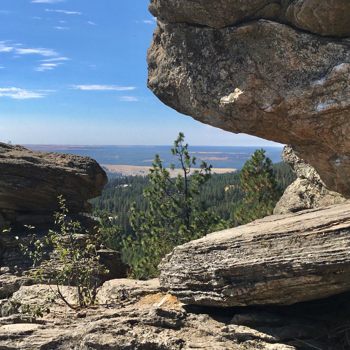 #HackingWashington Does your city park look like this? Mine does. #Spokane