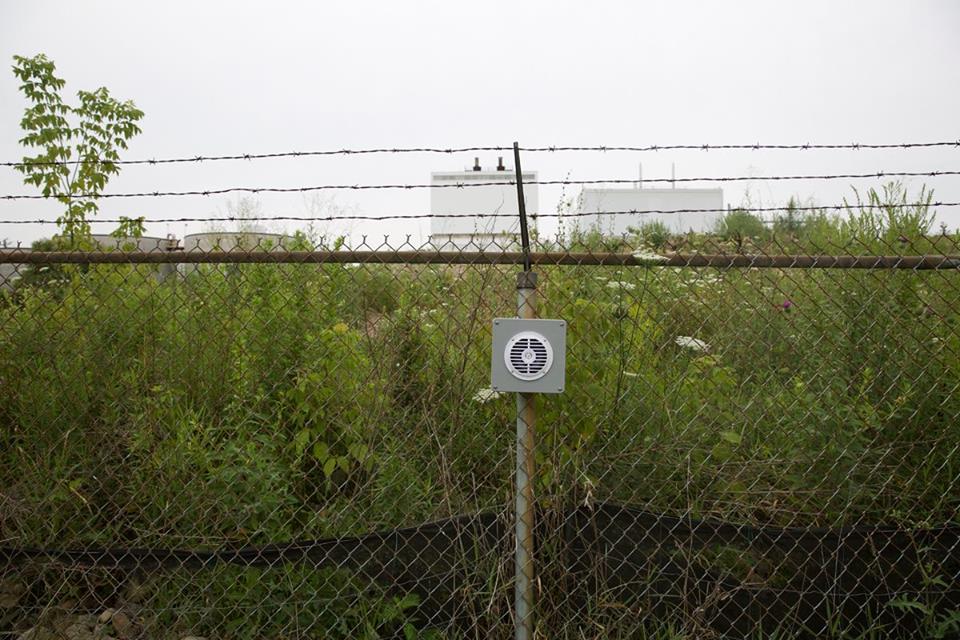 The Improvisation Institute tweet media