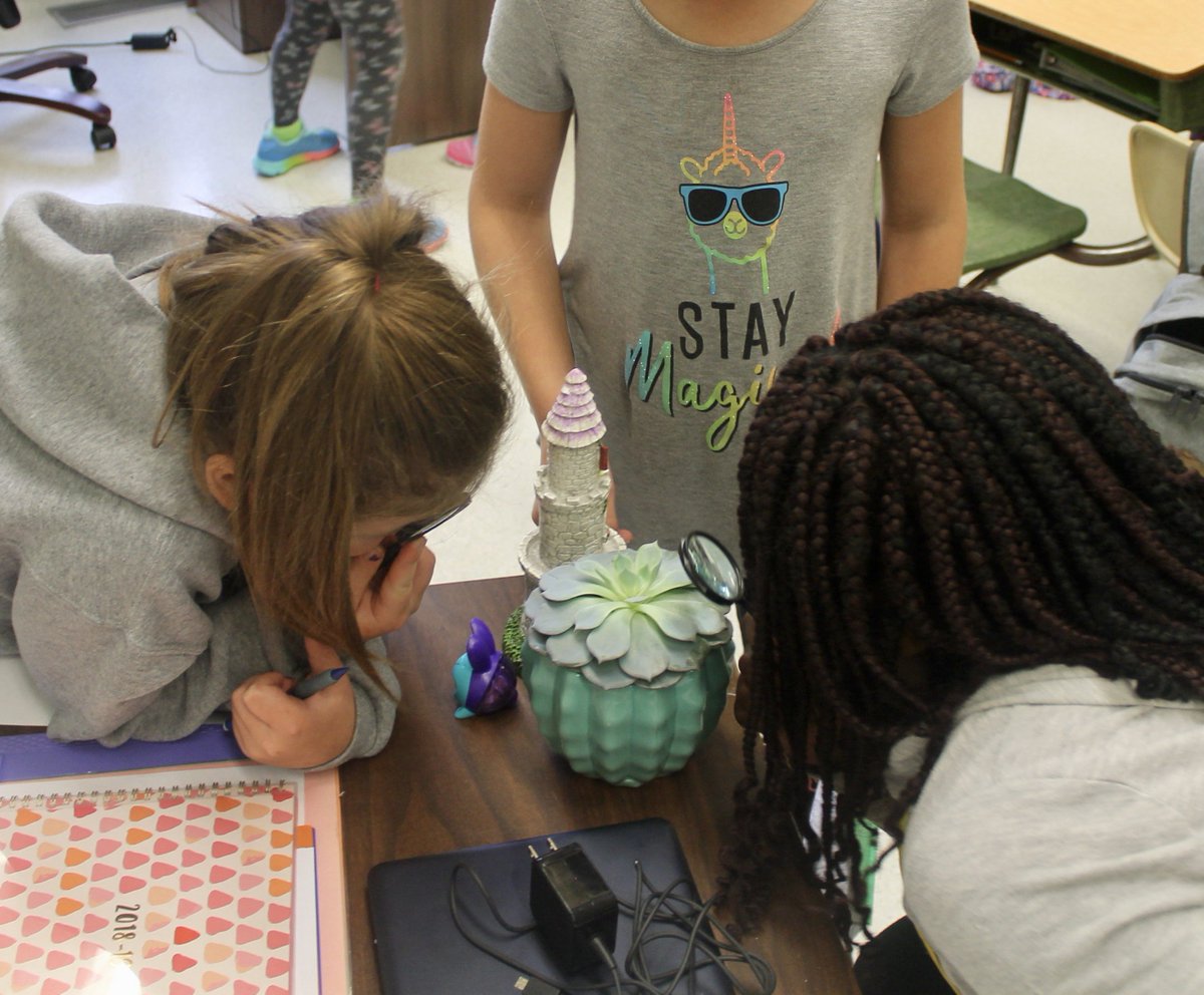 misslizchernick's tweet image. Exploring and learning about plants in our classroom! #HandsOnLearning #ThirdGradeScience