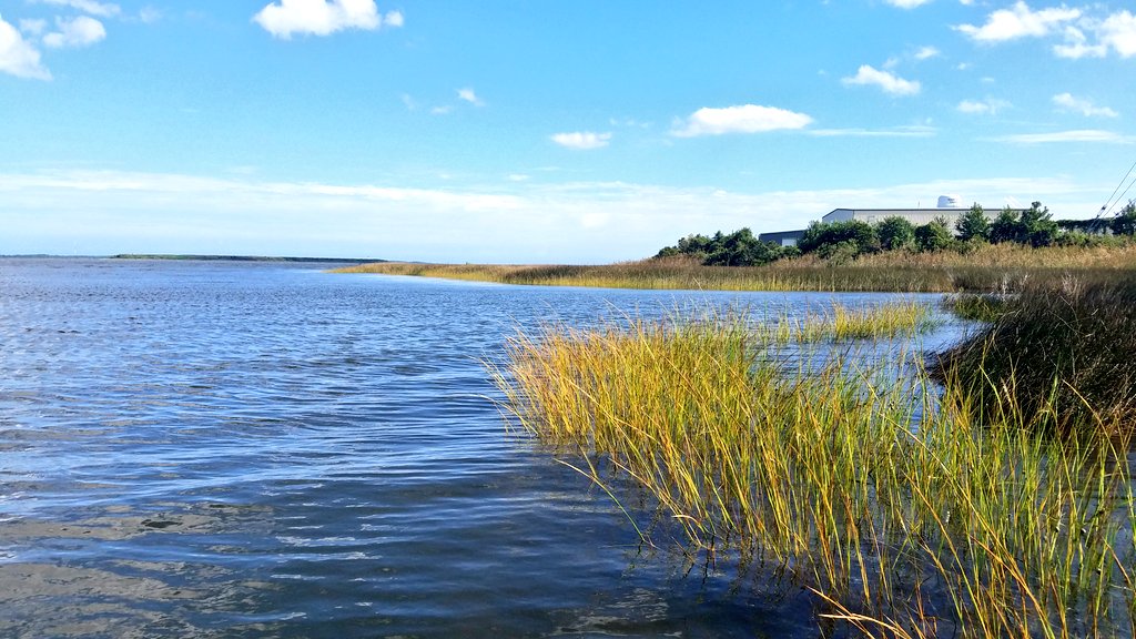 RippleEnviro's tweet photo. The salinity dropped from 25 ppt yesterday to 22 ppt today. Wind has been steady from the southwest and water level rose a few inches. Any guesses on the salinty tomorrow? Average this summer was 8-10 ppt. #NationalEstuariesWeek @NCCoastalFed #PostFlorence https://t.co/ctETjF5iXR