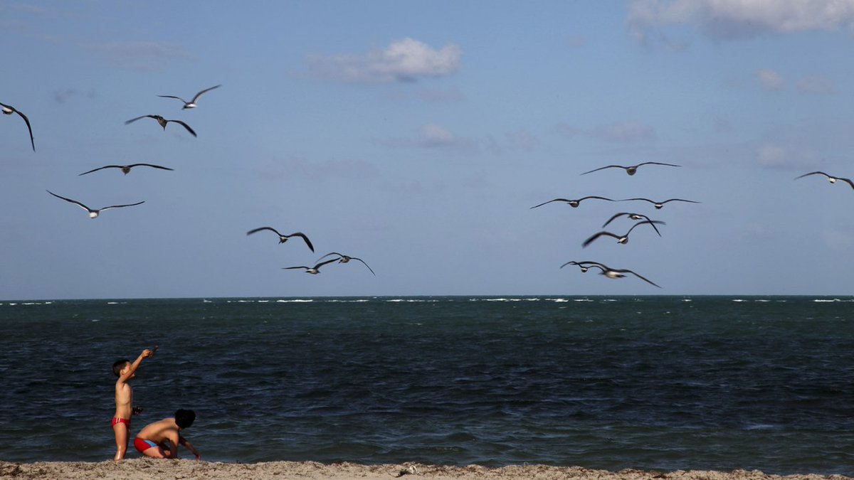 #BREAKING Swimming advisories lifted for Miami-Dade beaches after bacteria contamination bit.ly/2D6VeOc?utm_so… https://t.co/gOYWnQeOu5