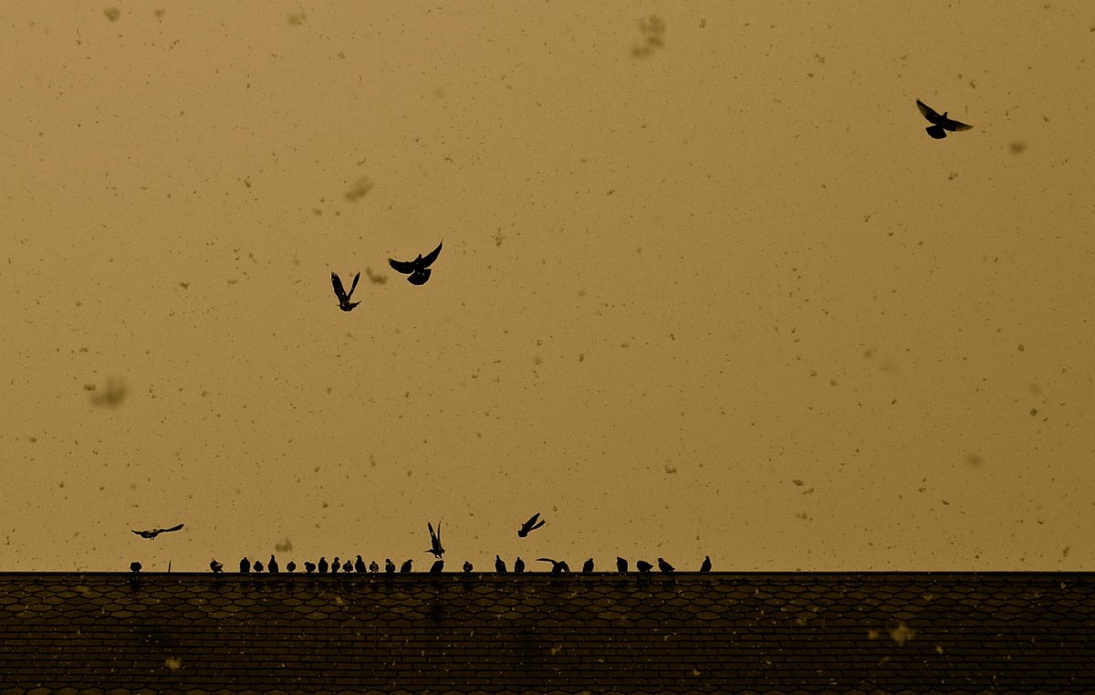 WeDropThing's tweet image. "Success takes you away from what you know, failure condemns you to it."
- Rachel Cusk