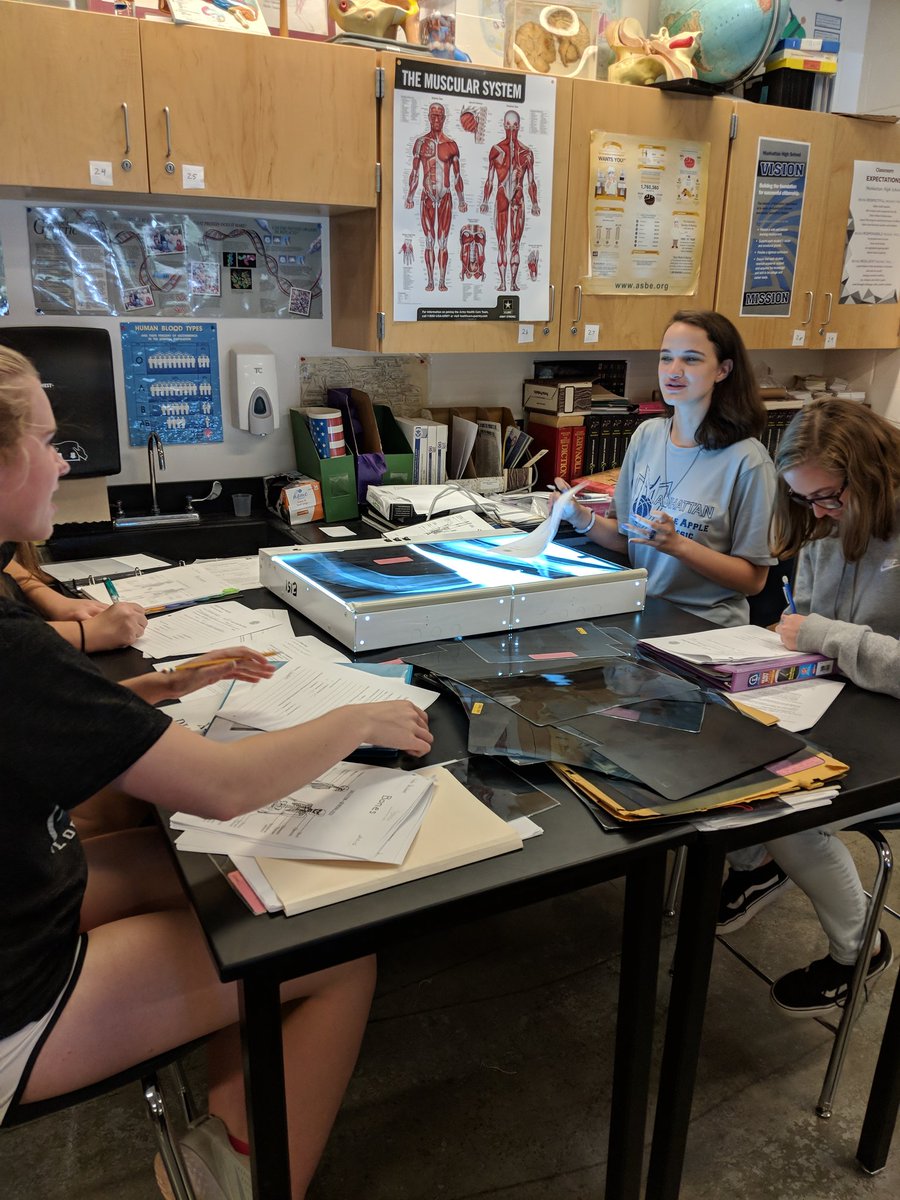 AckermanCraig's tweet photo. Started one of my favorite labs today... Bone Lab!!  #mhsdaily18  #imnotadoctor #intentionallymessy https://t.co/mbdTdvlCFm