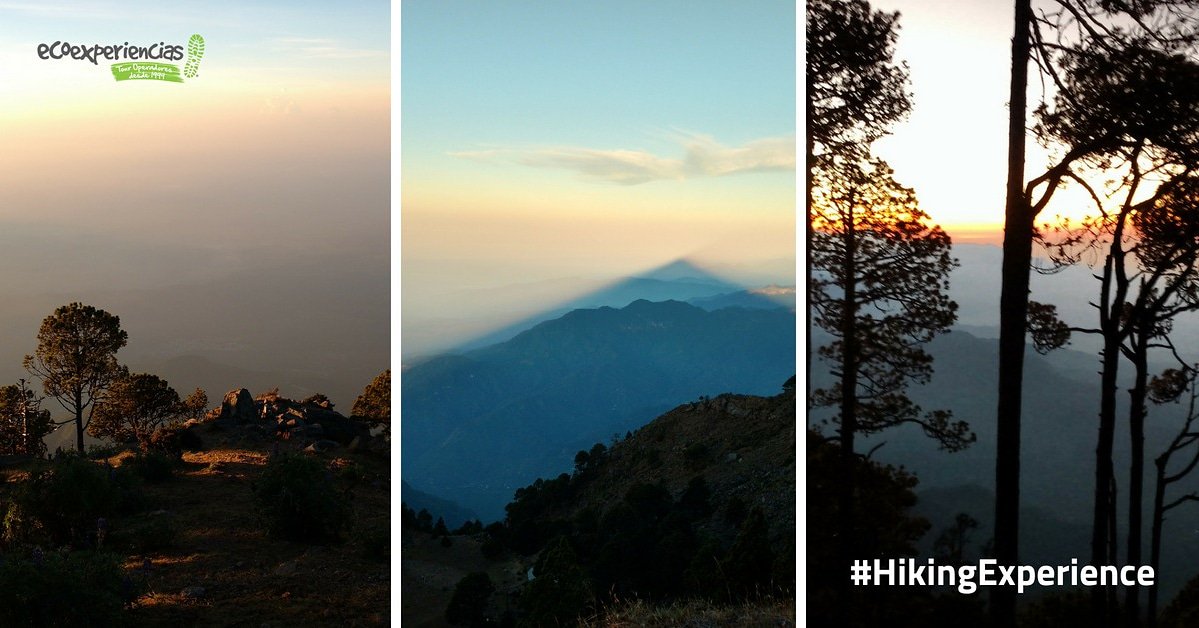 ECOEXPERIENCIAS. CHS tweet media