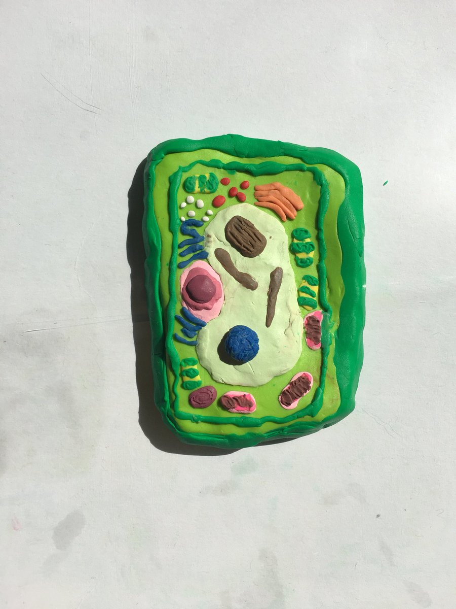 aimlearningkids's tweet photo. AIM kids say the smartest things:

Mrs.Meg- Let’s go make a cell!
N - I am making cells. I make cells everyday! 

#aimkidskw #HandsOnLearning #microschoolkw https://t.co/CtlfpkR04P