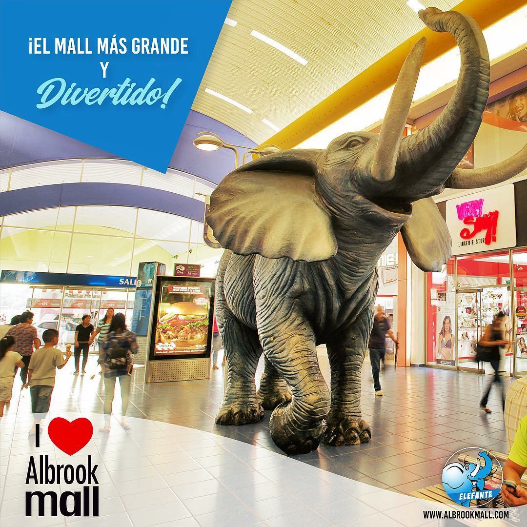 Hollywood Frágil Puñalada Albrook Mall na Twitteru: "El Mall más grande, siempre recibe a los más  GRANDES. . 📍¡Visita el #PasilloDelElefante! 🐘 . . . #ILoveAlbrookMall  #Shopping #Panamá https://t.co/IJcgFo6cIz" / Twitter