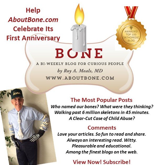 Roy Meals, MD (@aboutbone) on Twitter photo 