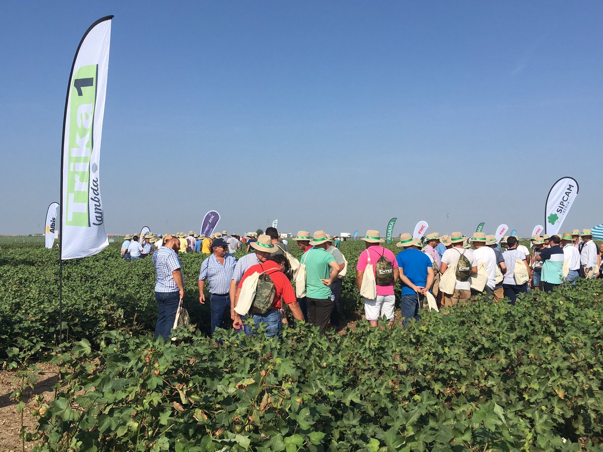 pfernandez1975's tweet photo. Un año más @Sipcam_es ha participado en la #Expoalgodon celebrada hoy en Lebrija (Sevilla), jornada de campo que une a todo el sector del algodón y las instituciones, donde se muestran las mejoras, novedades y productos relacionados con este cultivo. #Bismark #TrikaL1 #StiloHydro https://t.co/TLheAWBdev