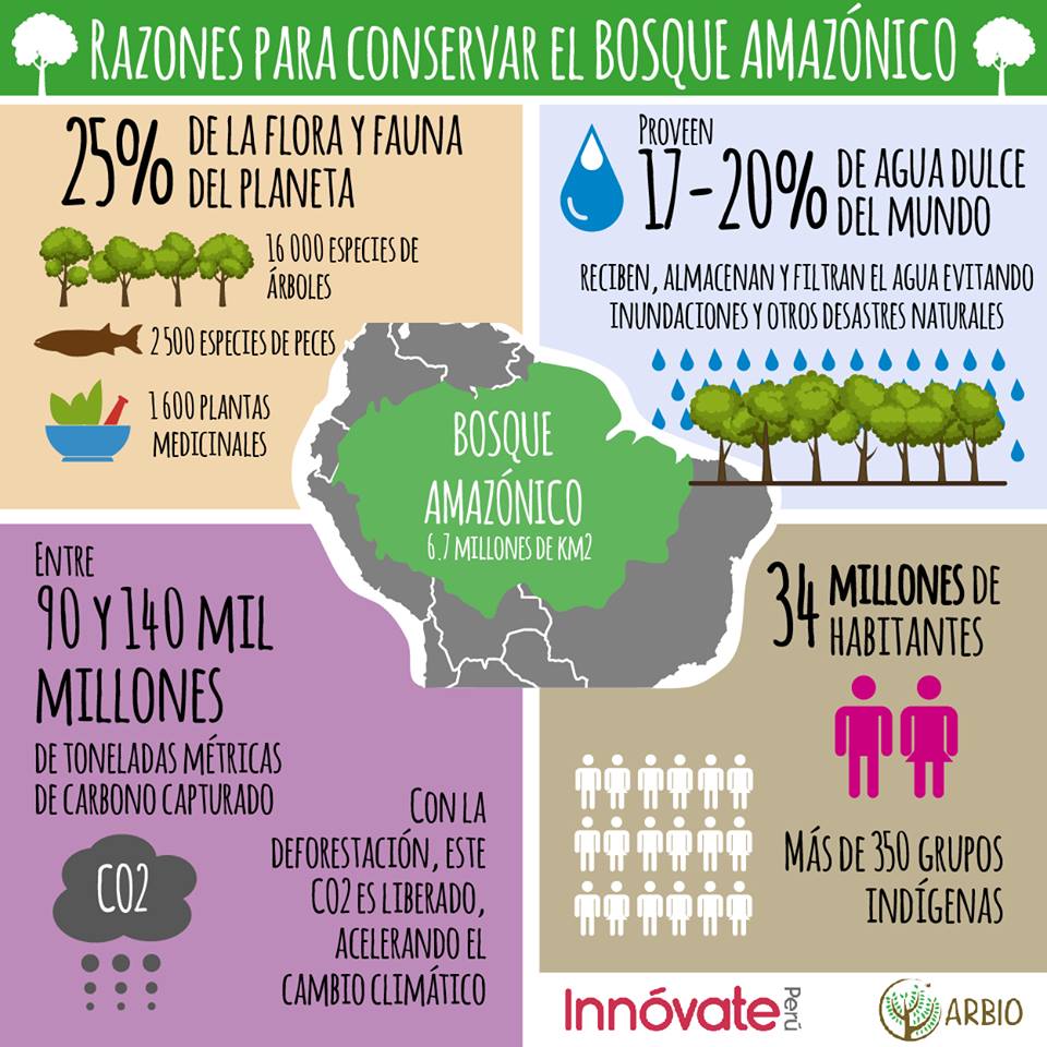 ArbioPeru's tweet photo. @Tondero Genial, solo espero que con esta tendencia algún día sigamos un #AmazoniaChallenge para evitar la pérdida de nuestros bosques, cómo? El reto sería que todos los días posteen información de la importancia de este ecosistema... https://t.co/g82lsUolwJ