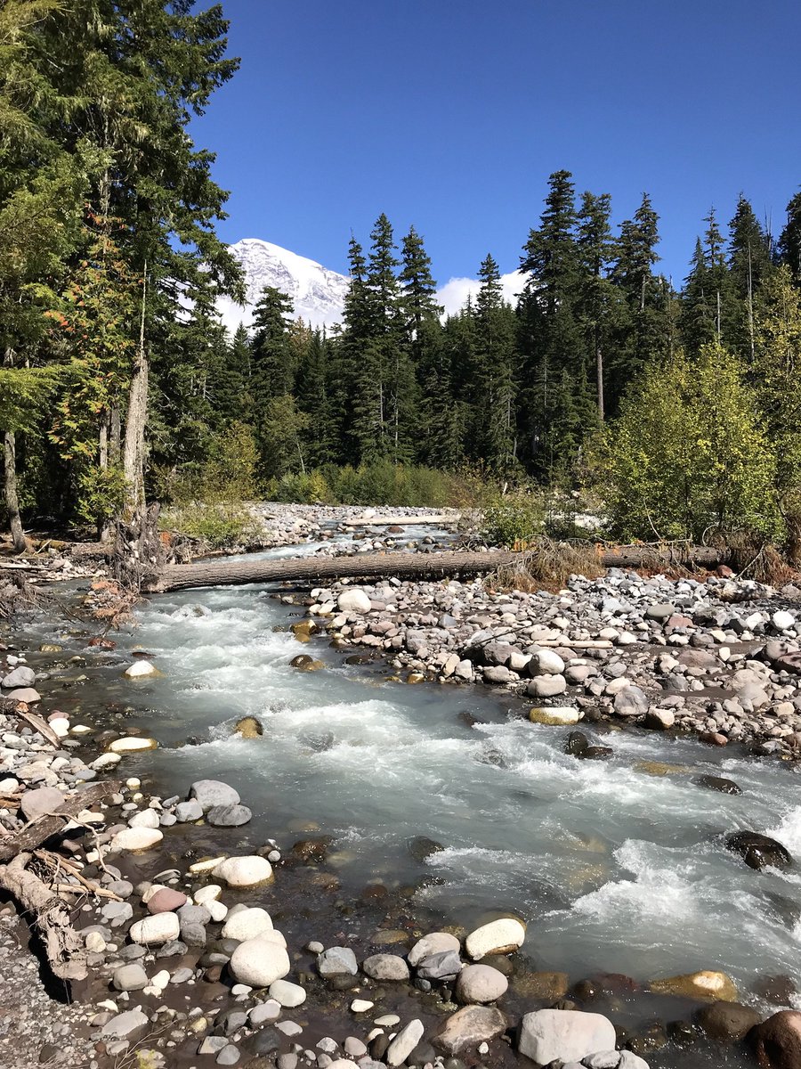 How are you enjoying the last week of summer? Remember, this Sat 9/22 is a fee free day! 📷 Nisqually River today near Longmire. -kl