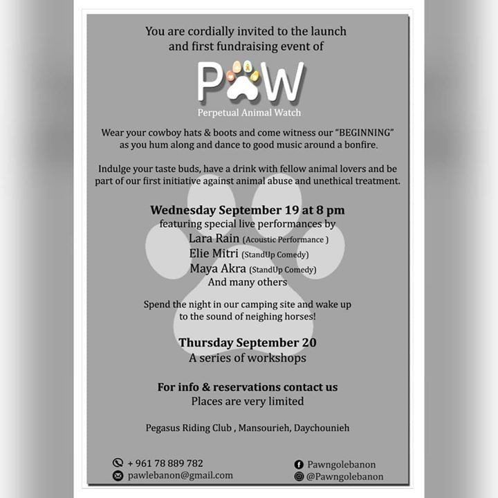 PawPots's tweet photo. https://t.co/4S6LIwSWeK