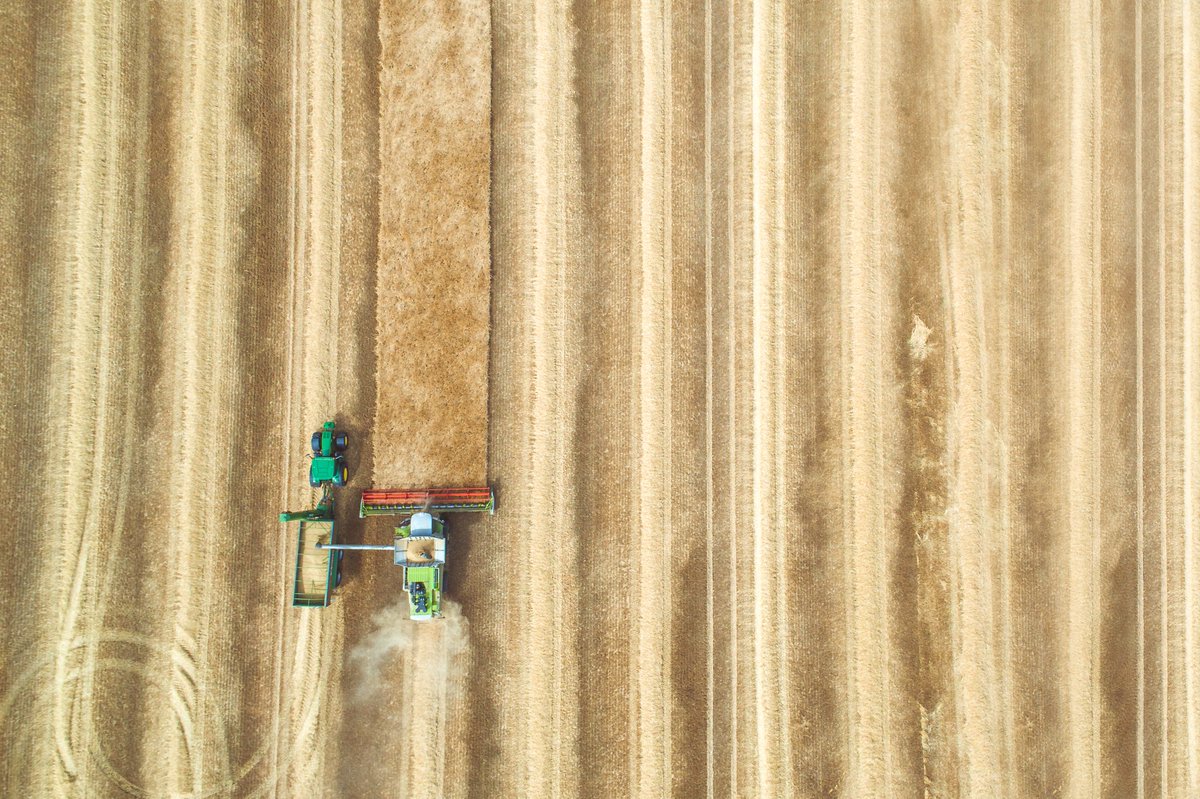 Per-bushel #soybean prices are expected to be $8.90, down 35 cents from the July prediction. Learn how this change will impact soybean futures: bit.ly/2NRNRuR