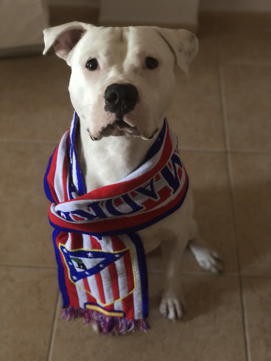 PUNISHER 🏧 tweet media