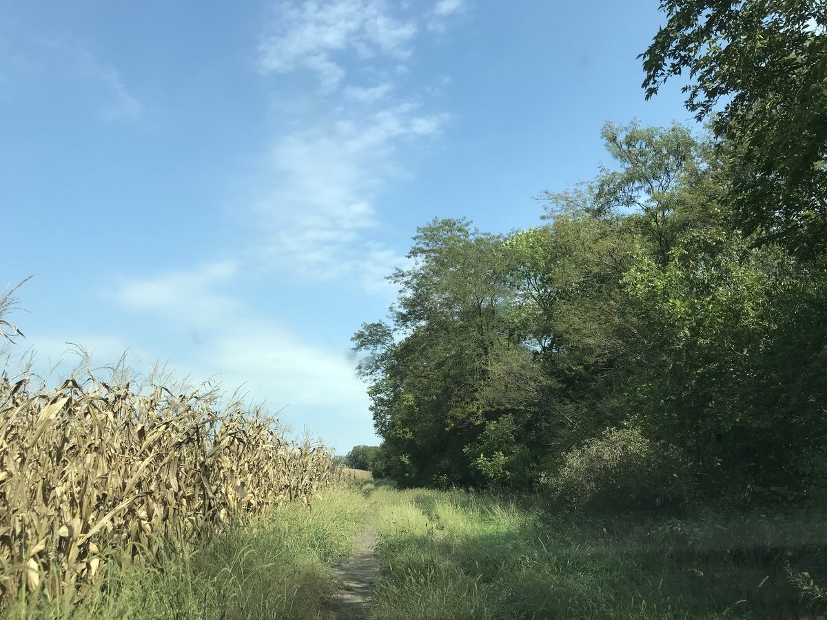 Alt_Farms's tweet photo. When you’re trusting the GPS that there’s a bean location back there
#MissionSoybean #FallNotes https://t.co/2XVvgkUyWa