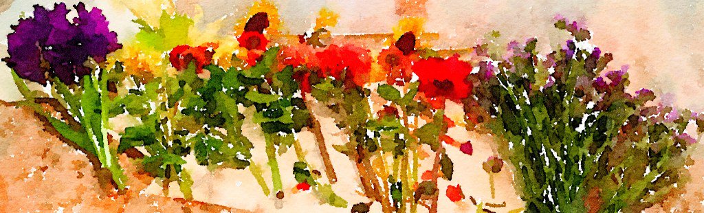 The Bouquet-a-Week Project: Week Thirty-One braidenblossoms.com/2018/09/bouque…