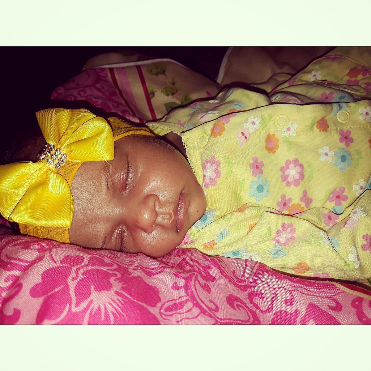Fabuloosa11's tweet photo. Flôr do meu jardim 💛👶👣

#MinhaMagalí 💛
#ElloáhDeAmarelinho💛 https://t.co/UsGH4u8HST