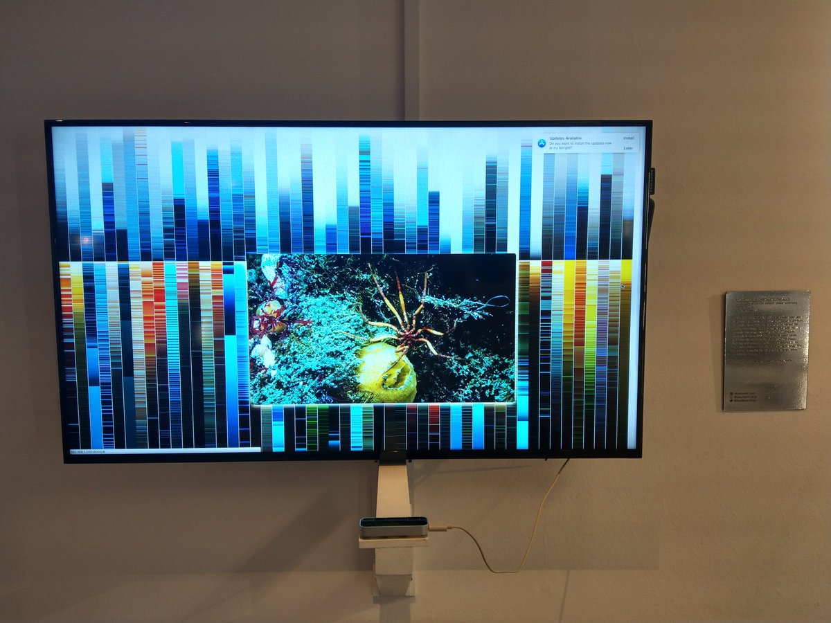 cathal's tweet photo. Colour of the ocean floor at @SciGalleryDub.. Reminds me of the #colouroflife #lifelogging wall. https://t.co/NdhXvC6Ykd