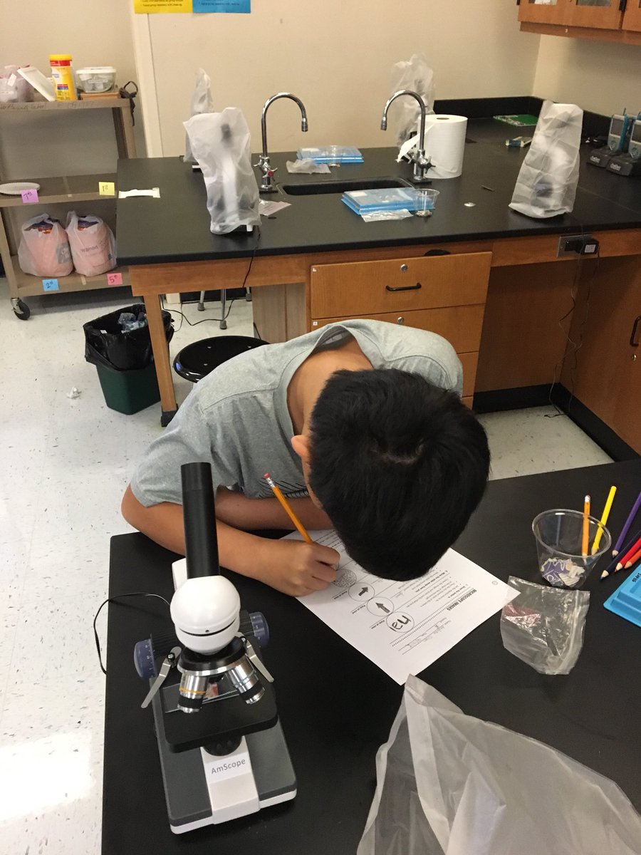 farrarpizitz's tweet photo. 7th grade science learning to use the microscope.@pizitzmiddle #pizitzlearns https://t.co/N8osaWVGHi