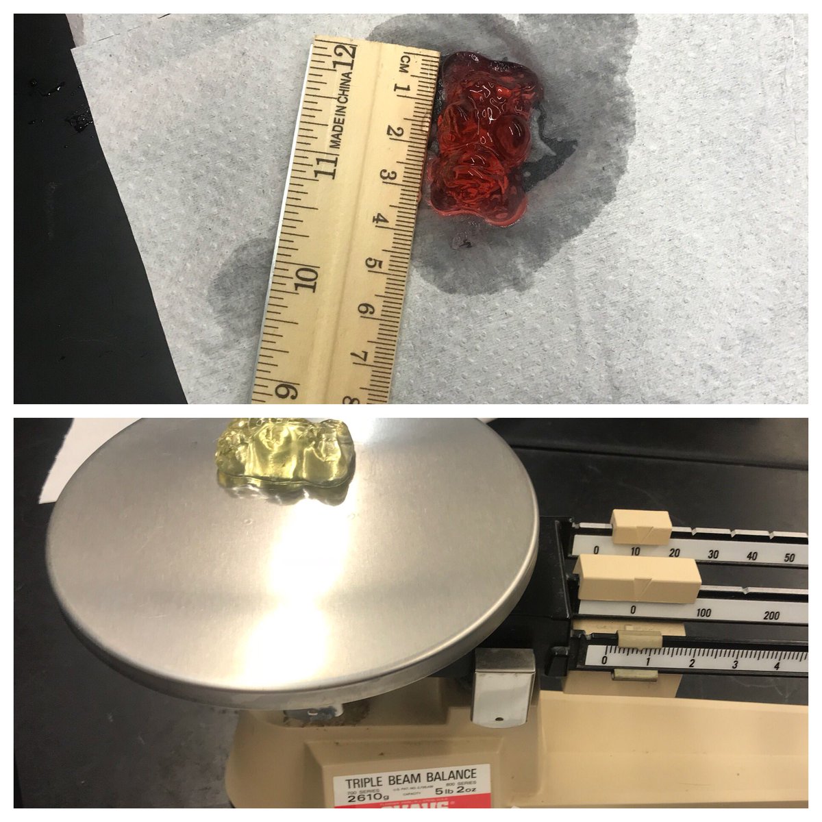 Baileyscience1's tweet image. 6th graders practice measurement skills with Gummi Bears 🐻 #MTPSPride #DolphinPride #mtpssci
