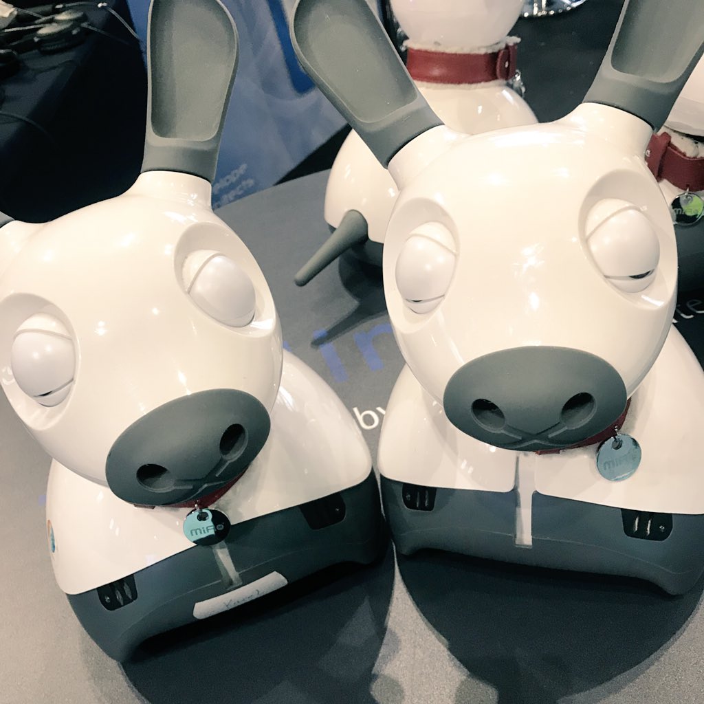 discoveringtech's tweet photo. The Miro Pets are having a nap ready for tomorrow #sheffieldrobotics #miropets #revo2018 https://t.co/thbWQt9Id4