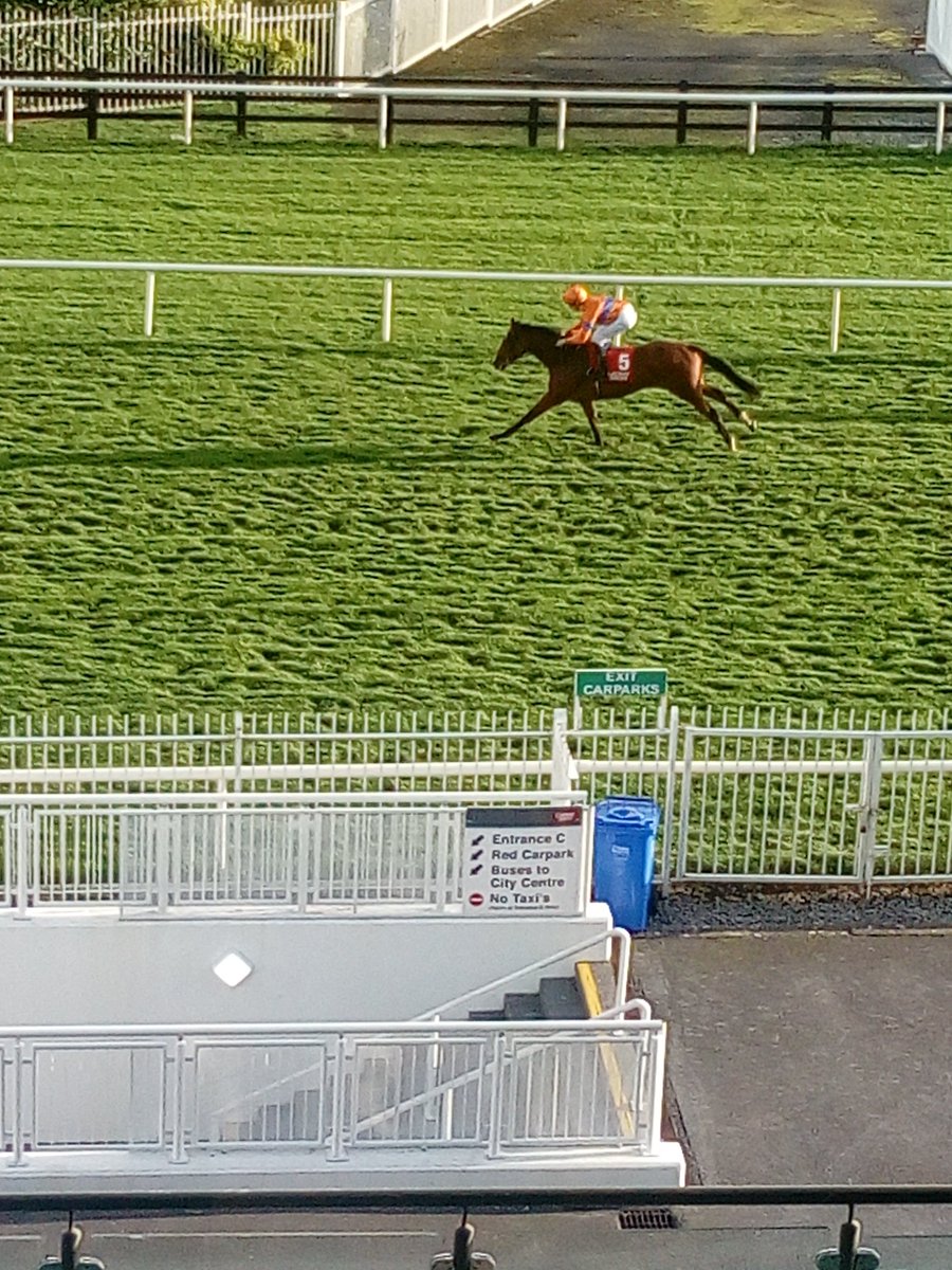 JoeSeward1's tweet photo. #ELLEANTHUS who showed distinct promise @curraghrace storms clear here at a very blustery @Galway_Races under in form Jockey Shane Crosse for in a very much in form @JosephOBrien2 can do no wrong ...Must be the #GrahamAtkinson #factor ..
#Galwayraces
#horseracing https://t.co/8n35B95Rf7