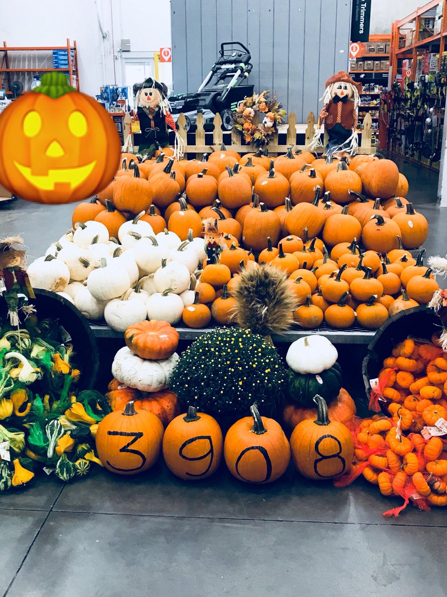 ElizaaUlloa10's tweet photo. i dunno about y’all buuuut @JacindaTaylor1 &amp; I made this display beautiful! #WeReadyForYouFall #YouFalliFall #DisTheSeason #Cute #Pumpkins #GetLikeUs 👏🏽👏🏽 #3908 #SwBest @RuskMitch @LawheadMike @tlb349 @ClaytonBlish @aab1020  @AmyTodd91483831 https://t.co/r96Lq89yKG