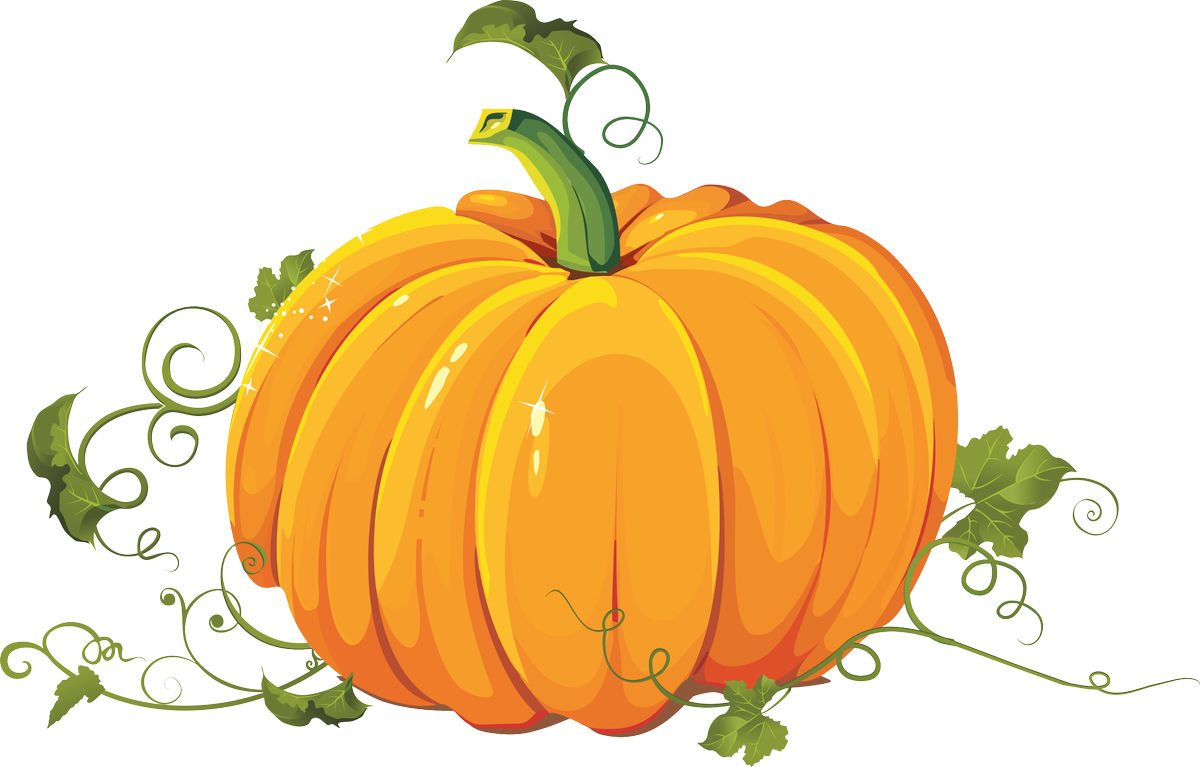 Morse's tweet photo. Is there anything worse than finding a hidden defect on your #pumpkin? Well, some might argue it's even more disappointing when found on a #patent. @lunix27 &amp; @PatentPrincess explain the potential effects of government-funded #grants on patents: https://t.co/bTnr17t5ea https://t.co/nYtaylmDJp